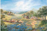 0011590 Hill Country Homeplace