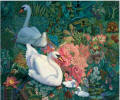 Swans and Cignets